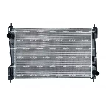 Radiateur, refroidissement du moteur NRF OEM 13313296