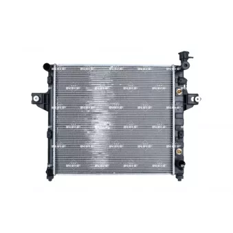 Radiateur, refroidissement du moteur NRF OEM 52079425ae