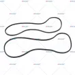 Courroie trapézoïdale AUGER [85286]