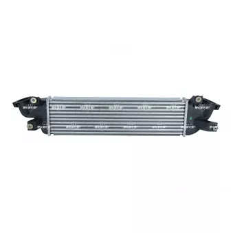 Intercooler, échangeur NRF 309113 pour FIAT FULLBACK 2.4 D - 154cv