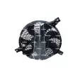 NRF 470093 - Ventilateur, refroidissement du moteur