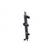 NRF 509528 - Radiateur, refroidissement du moteur