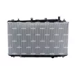 NRF 550196 - Radiateur, refroidissement du moteur