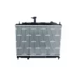 NRF 550302 - Radiateur, refroidissement du moteur