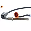 NRF 707141 - Capteur, température des gaz