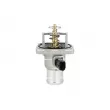 Thermostat, liquide de refroidissement NRF [725033]