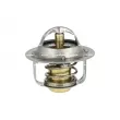 Thermostat, liquide de refroidissement NRF [725061]