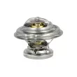 Thermostat, liquide de refroidissement NRF [725062]