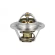 Thermostat, liquide de refroidissement NRF [725064]