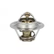 Thermostat, liquide de refroidissement NRF [725065]