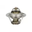 Thermostat, liquide de refroidissement NRF [725066]