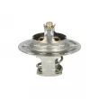 NRF 725066 - Thermostat, liquide de refroidissement
