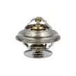 Thermostat, liquide de refroidissement NRF [725067]