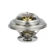 NRF 725073 - Thermostat, liquide de refroidissement