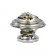 Thermostat, liquide de refroidissement NRF [725074]