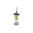 NRF 725093 - Thermostat, liquide de refroidissement