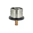 NRF 725099 - Thermostat, liquide de refroidissement