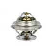Thermostat, liquide de refroidissement NRF [725100]