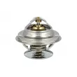 Thermostat, liquide de refroidissement NRF [725101]