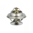 NRF 725101 - Thermostat, liquide de refroidissement
