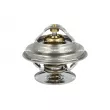 Thermostat, liquide de refroidissement NRF [725103]
