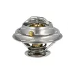 Thermostat, liquide de refroidissement NRF [725105]