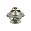 NRF 725106 - Thermostat, liquide de refroidissement