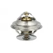 NRF 725117 - Thermostat, liquide de refroidissement
