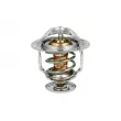 Thermostat, liquide de refroidissement NRF [725119]