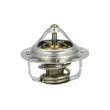 Thermostat, liquide de refroidissement NRF [725120]