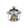 Thermostat, liquide de refroidissement NRF [725127]
