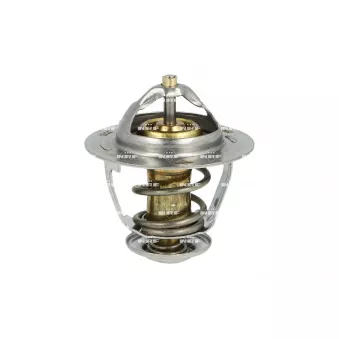Thermostat, liquide de refroidissement NRF OEM 2120058G04