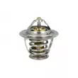 Thermostat, liquide de refroidissement NRF [725132]