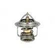 Thermostat, liquide de refroidissement NRF [725134]