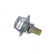 Thermostat, liquide de refroidissement NRF [725141]