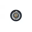 Thermostat, liquide de refroidissement NRF [725152]