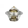 Thermostat, liquide de refroidissement NRF [725154]