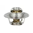 Thermostat, liquide de refroidissement NRF [725156]