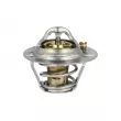 Thermostat, liquide de refroidissement NRF [725159]