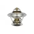Thermostat, liquide de refroidissement NRF [725161]