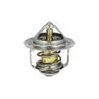 NRF 725173 - Thermostat, liquide de refroidissement