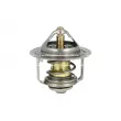 NRF 725173 - Thermostat, liquide de refroidissement
