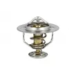 Thermostat, liquide de refroidissement NRF [725176]