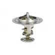 NRF 725176 - Thermostat, liquide de refroidissement