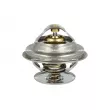Thermostat, liquide de refroidissement NRF [725184]