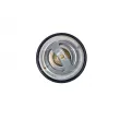 Thermostat, liquide de refroidissement NRF [725186]