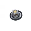 Thermostat, liquide de refroidissement NRF [725187]