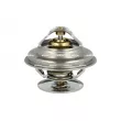 Thermostat, liquide de refroidissement NRF [725192]
