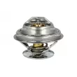 Thermostat, liquide de refroidissement NRF [725194]