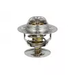 Thermostat, liquide de refroidissement NRF [725206]